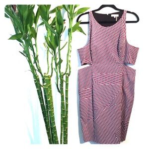 Cute Dress with Side Cut Outs